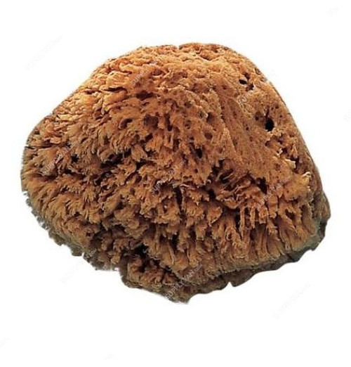 Pentrilo Natural Sponge, 9589, Brown