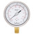 Calcon Pressure Gauge, CC10C, 100MM, 1/2 Inch, NPT, 0-60 Bar