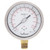 Calcon Pressure Gauge, CC10C, 100MM, 1/2 Inch, NPT, 0-16 Bar