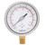 Calcon Pressure Gauge, CC10C, 100MM, 1/2 Inch, NPT, 0-10 Bar