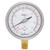 Calcon Pressure Gauge, CC10C, 100MM, 1/2 Inch, NPT, -1-16 Bar