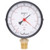 Calcon Pressure Gauge, CC2A, 100MM, 1/2 Inch, NPT, -1-0 Bar