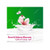 Dettol Anti-Bacterial Skincare Handwash, Rose and Sakura Blossom, 1 Ltr