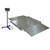 Eagle Floor Weighing Scale With Ramp, PLT-15M-T6, 1500 x 1500MM Platform Size, 2000 Kg Weight Capacity