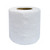 Intercare Embossed Toilet Paper, 2 Ply, 100 Sheets, 10 x 10CM Sheet Size, White, 100 Roll/Pack