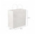 The Paperpack Paper Bag With Twisted Handle, 29CM Length x 15CM Width x 29CM Height, White, 50 Pcs/Pack