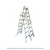 Emc Multi-Purpose Ladder, MPL-20-4X5, Aluminum, 2 Sides, 20 Steps, 5.8 Mtrs, 136.07 Kgs