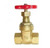 Herz Gate Valve, 1411315, DZR Brass, 40MM