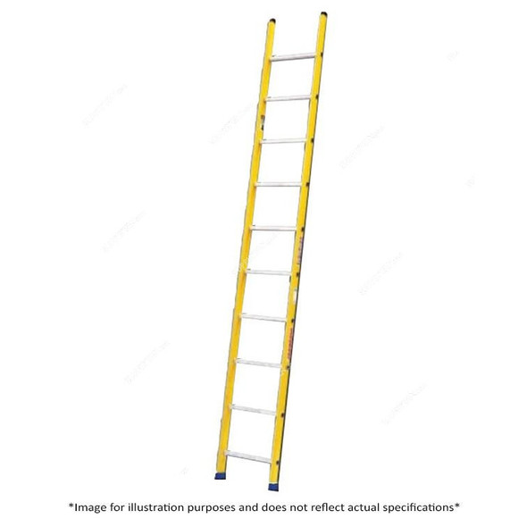 Workman Straight Ladder, 12 Steps