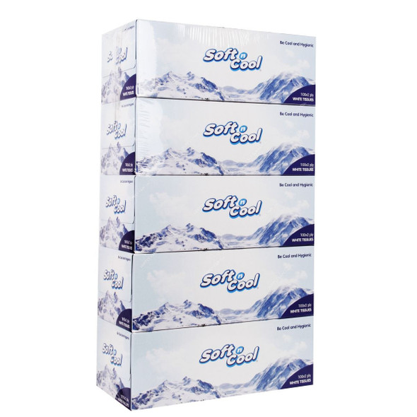 Hotpack Soft n Cool Facial Tissue, SNCT100, 2 Ply, 3000 Sheets/Pack