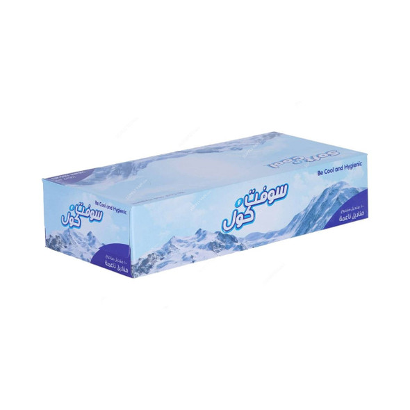 Soft n Cool Facial Tissue, SNCT100, 2 Ply, White, 500 Sheets/Pack