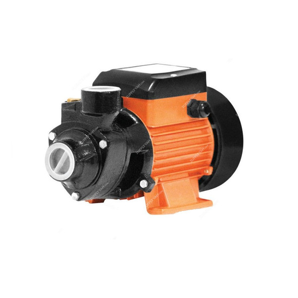 RR Peripheral Water Pump, RRP-0-5S-11, 0.37kW, 0.5 HP