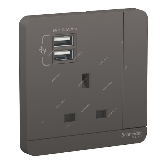 Schneider Electric Switched Socket With 2 USB Port, AvatarOn, 3P, 13A, 220V, Dark Grey