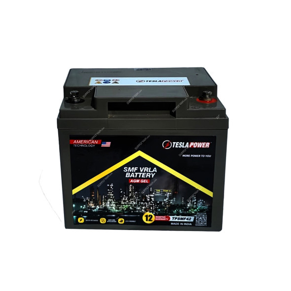 Tesla AGM Monoblock VRLA Battery, TPSMF42, 12V, 42 Ah