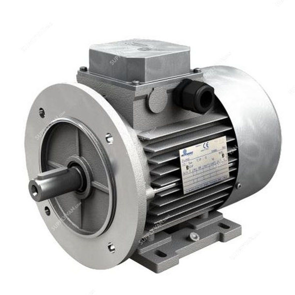 Motovario Electric Motor, THG804, 3 Phase, 4 Pole, 0.75kW, 230/400V, 1500 RPM, IP55