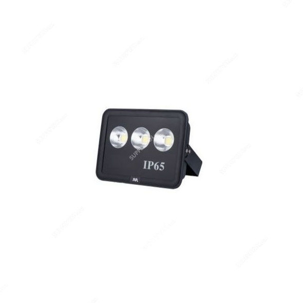 RR LED Flood Light, RR-FL1-L100D, COB, 100W, Daylight, 6500K