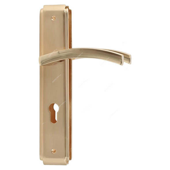ACS Door Handle, AA99-AA95-SG-GP, Zinc, Gold