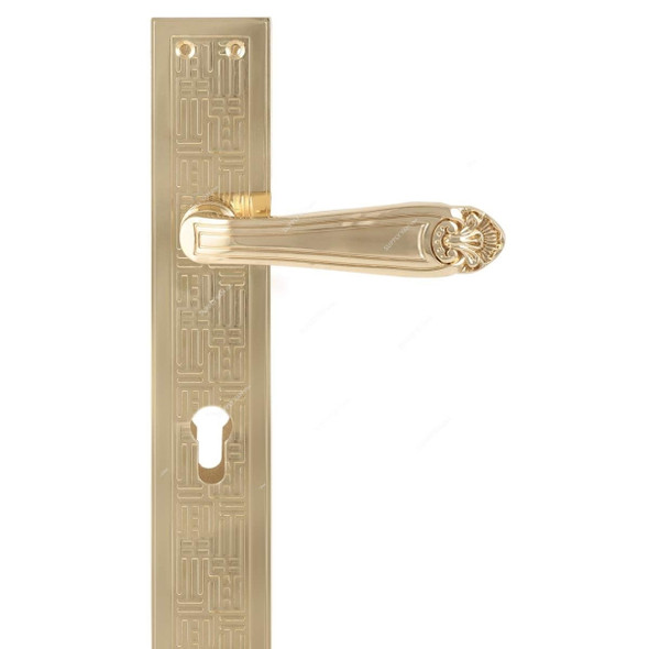 ACS Door Handle, CC43-DD199-GP, Zinc, Gold