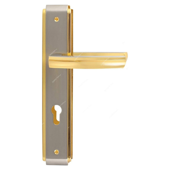 ACS Door Handle, H707-193-SN-GP, Zinc, Silver and Gold