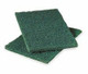 Scouring Pads