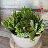 Masculine Flower & Plant Gifts for Dads, Birthdays & Thank-You Moments