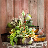 Same-Day Flower Delivery Anoka, MN: Father’s Day Plants and Masculine Flower Gifts That Stand Out