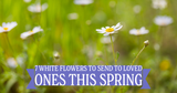 7 White Flowers to Send to Loved Ones This Spring