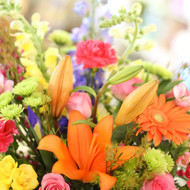 How to Choose the Perfect Flower Shop in Maple Grove, MN