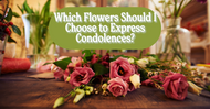 Which Flowers Should I Choose to Express Condolences?