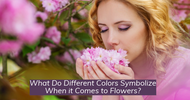 What Do Different Colors Symbolize When it Comes to Flowers?