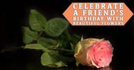 Celebrate a Friend's Birthday With Beautiful Flowers