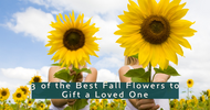 3 of the Best Fall Flowers to Gift a Loved One