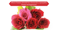 Which Flowers Should You Choose for a Sympathy Flower Arrangement?