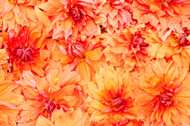3 Essential Flower Care Tips to Always Follow