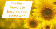 The Best Flowers to Decorate Your Home With