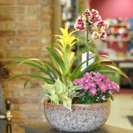 Main Floral Anoka: Your Local Florist for Fresh, Thoughtful Arrangements