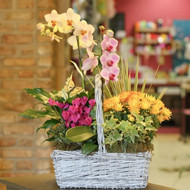 Top Flower Shop in Andover: Main Floral’s Bestsellers This Season