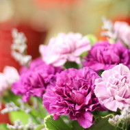 Flower Arranging Tips from Main Floral, Anoka: Create Stunning Blooms at Home in Andover