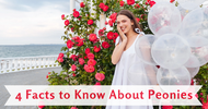 4 Facts to Know About Peonies