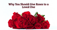 Why You Should Give Roses to a Loved One