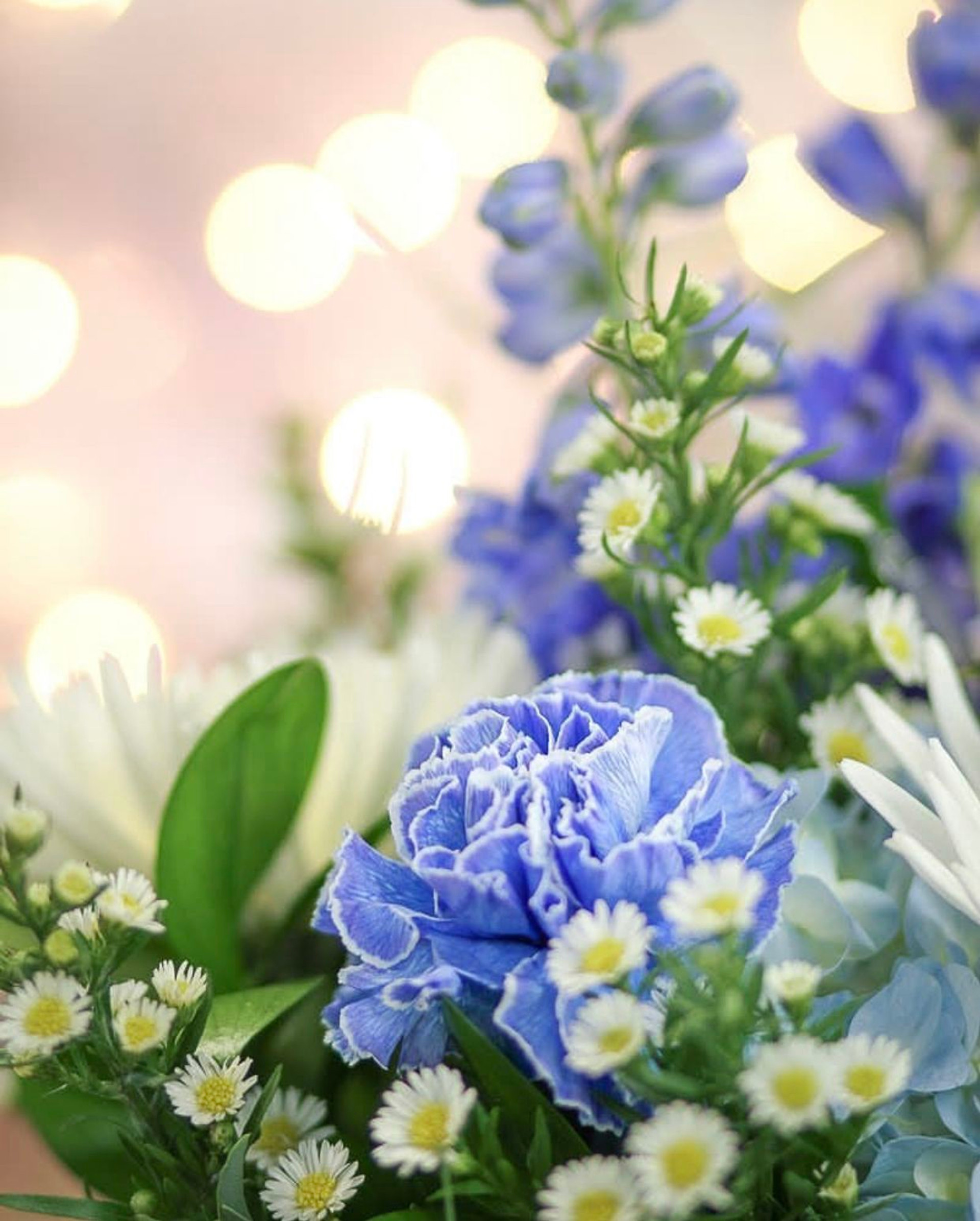 We ll Pick It we-ll-pick-it