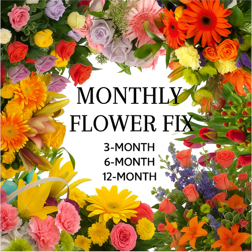 Treat yourself or someone you love to fresh, beautiful flowers delivered monthly. With our Monthly Flower Fix, you’ll enjoy a handcrafted seasonal bouquet from Main Floral, full of color, fragrance, and joy.

Choose the plan that fits your needs:

3-Month Subscription – A short-term burst of beauty

6-Month Subscription – A half-year of thoughtful floral designs

12-Month Subscription – A full year of fresh flowers and lasting smiles

Each arrangement is carefully created by our local designers using the freshest flowers available. Whether you're sending a gift or brightening your own space, our Monthly Flower Fix makes it easy to celebrate life with flowers—month after month.

Simple delivery.
Unique bouquets each month.
Locally designed with care.

Start your subscription today and enjoy the beauty of flowers all year long.