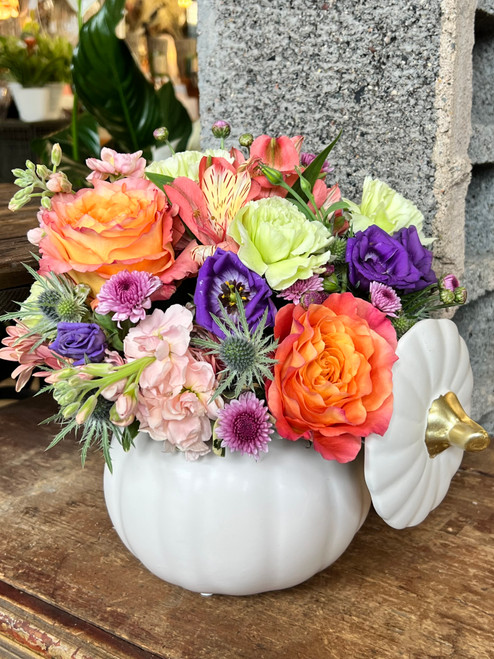 Presenting the "Totally Gourd-geous" autumnal flower arrangement, designed to infuse your space with the enchanting spirit of fall. This carefully crafted bouquet showcases a soft blend of alstroemeria, carnations, and roses, coming together in a breathtaking display of color and elegance.

The delicate alstroemeria adds intricate patterns and a splash of color to the arrangement. These flowers symbolize friendship and devotion, making it a heartwarming gesture for any occasion, especially the holiday season. The vibrant Free-Spirit Roses, on the other hand, are a true spectacle. Their large, ruffled blooms in hues of orange kissed with rosy pink edges stand out, adding a touch of wild elegance and passion to the ensemble.

Nestled within a charming pumpkin container, this arrangement is not just a bouquet but a statement piece. We chose this container for it's whimsical design perfectly complements the warmth of the blooms, making it an ideal centerpiece for your fall table or thoughtful gift for a loved one.

Main Floral in Anoka, MN is dedicated to making your autumn celebrations unforgettable. With same-day delivery available to the entire Twin Cities metro area, including Andover, Coon-Rapids, St. Paul, and Roseville, you can trust Main Floral to deliver this exquisite flower arrangement right to your doorstep, capturing the essence of the season. Don't wait—place your order today and let Main Floral bring the magic of fall into your home with the "Totally Gourd-geous" arrangement.