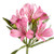 Alstroemeria 'Pink Elegance' bestows a soft, romantic charm to cut flower arrangements. Its pastel pink blooms, kissed with subtle streaks and speckles, contrast beautifully against deep green foliage. Its enduring beauty and gentle grace make it an enchanting choice for bouquets, creating an atmosphere of timeless elegance.