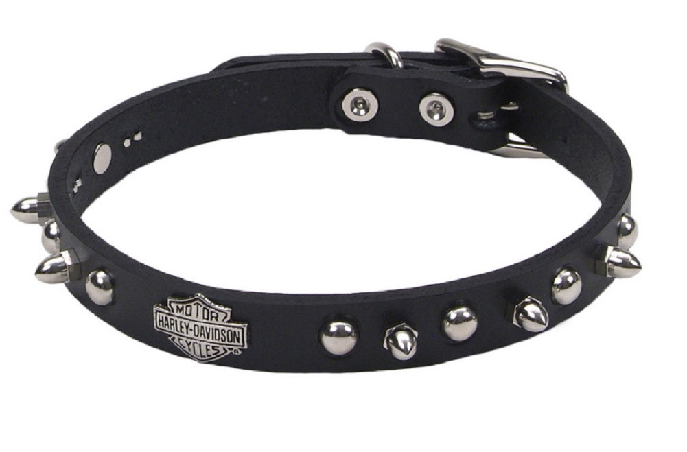 harley davidson spiked dog collar