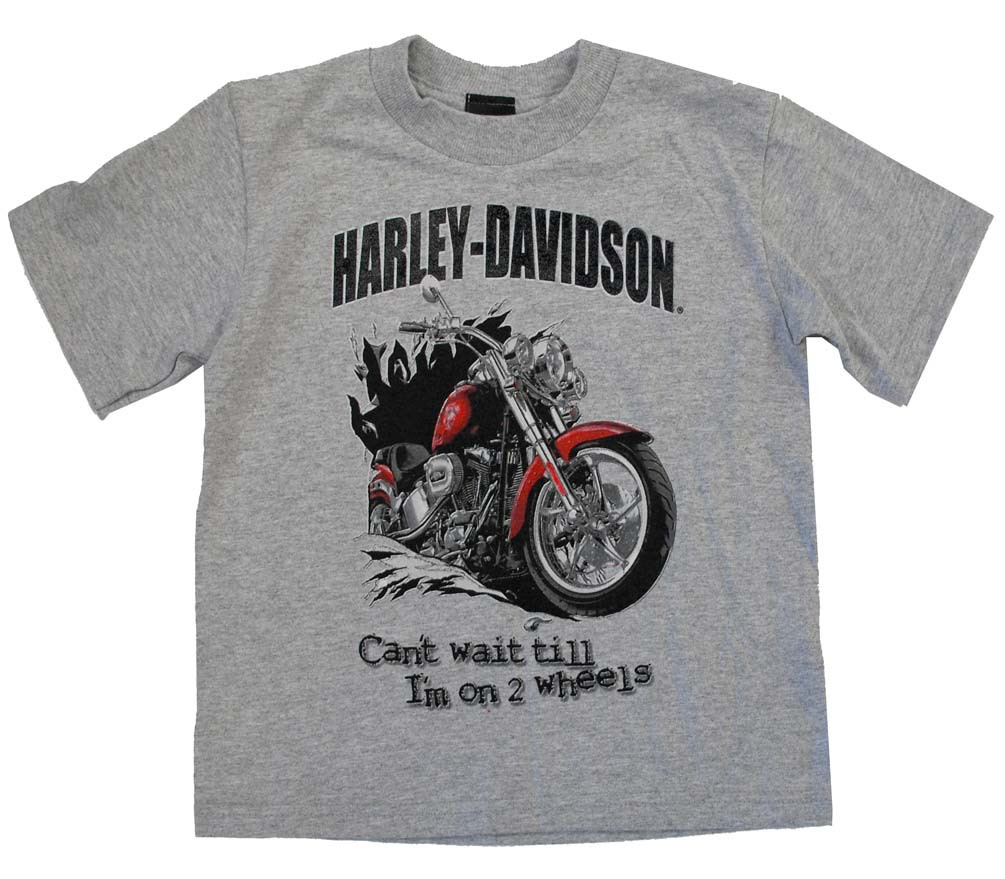 HarleyDavidson® Little Boys' Motorcycle TShirt Gray Toddler 3074056
