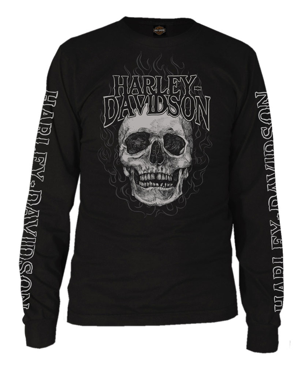 Harley-Davidson® Men's Skull Fire H-D Script Long Sleeve T-Shirt, Solid  Black