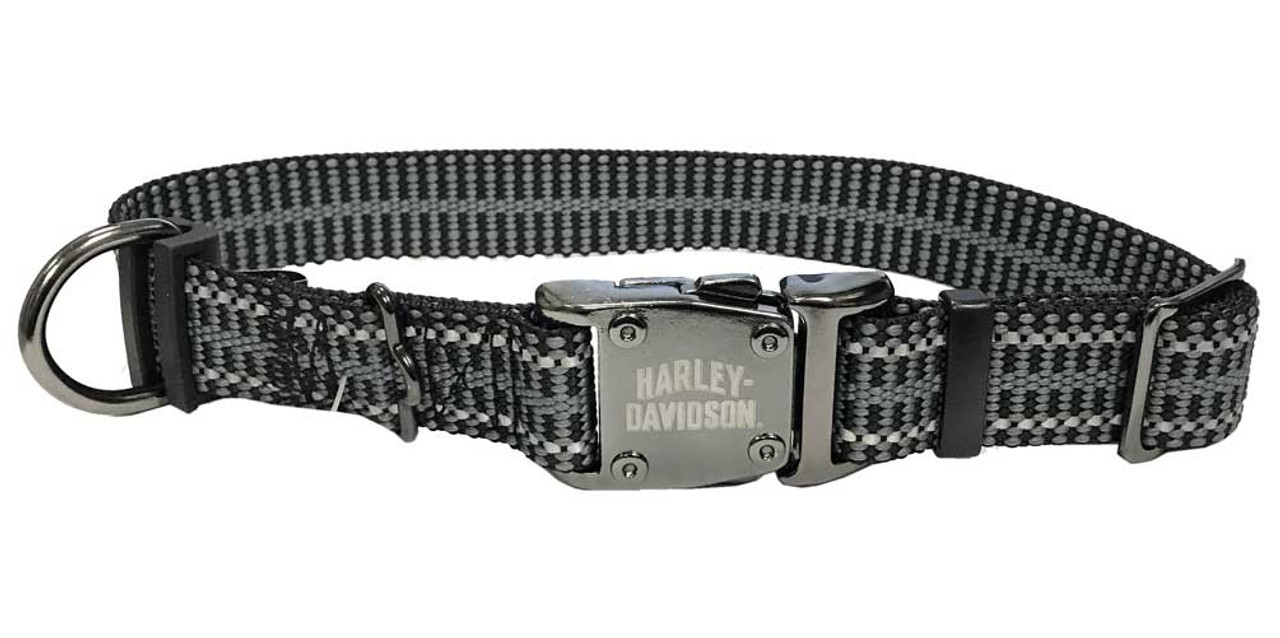 rugged dog collar