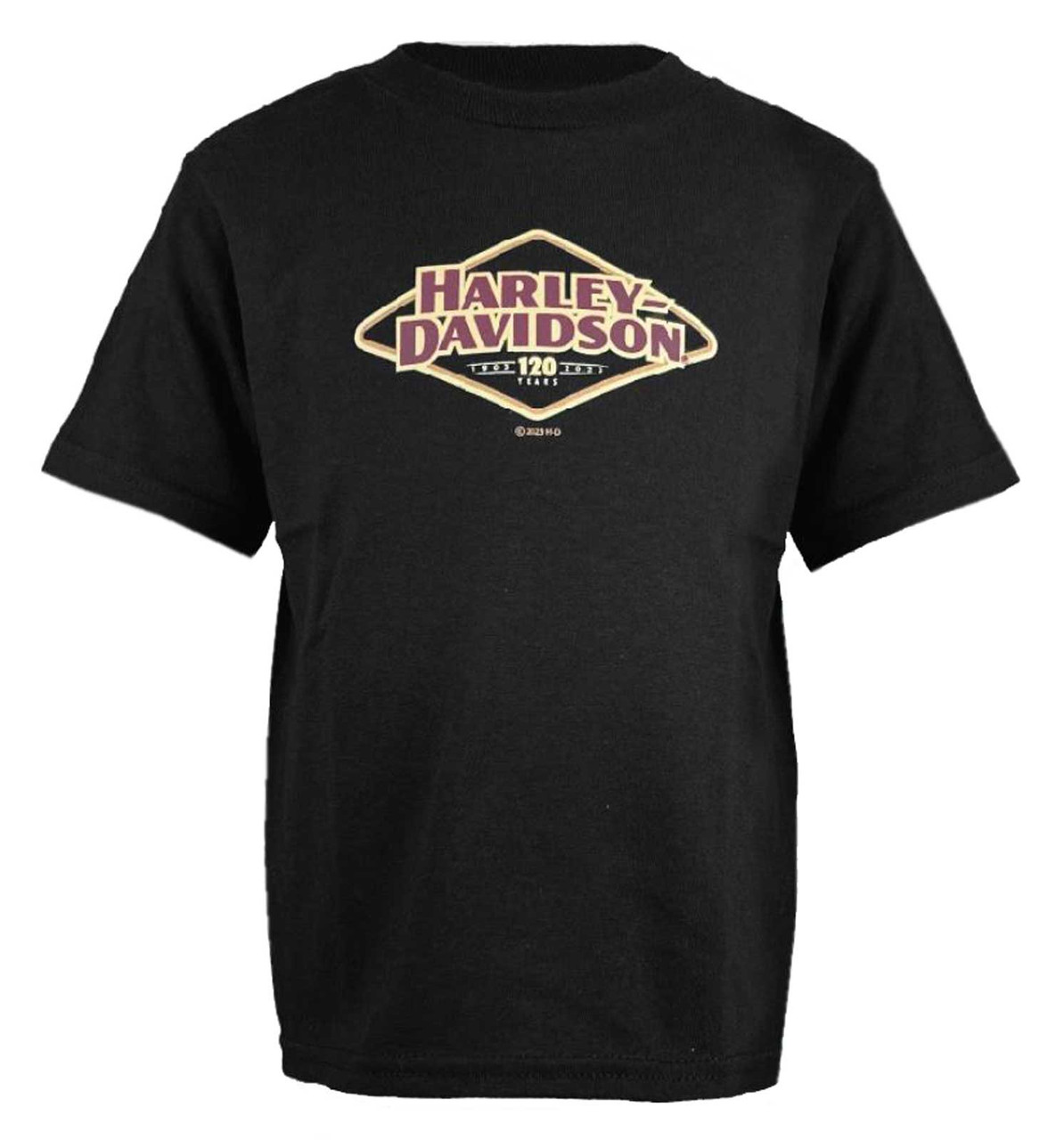 Harley-Davidson® Big Boys' 120th Anniversary Short Sleeve T-Shirt