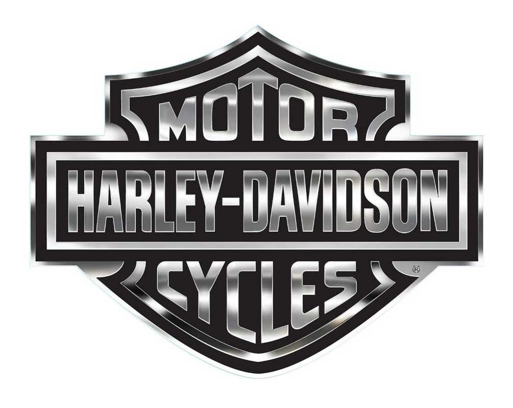 Harley-Davidson® Bar & Shield Logo Decal, X-Large 30 x 40 In, Gray 